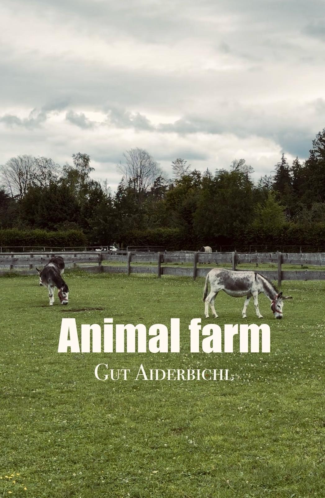 Animal Farm: Gut Aiderbichl Iffeldorf