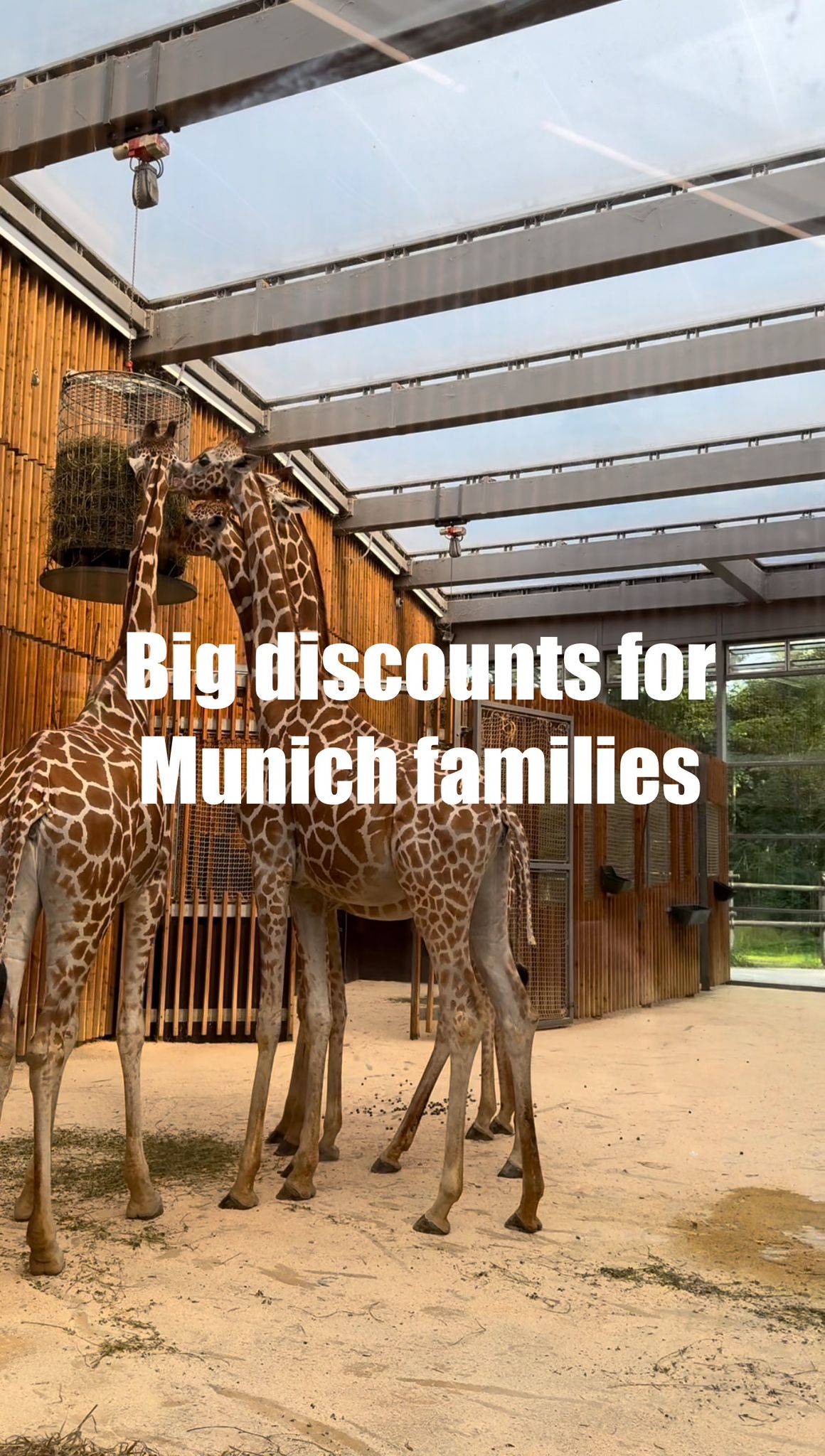 Munich Family pass