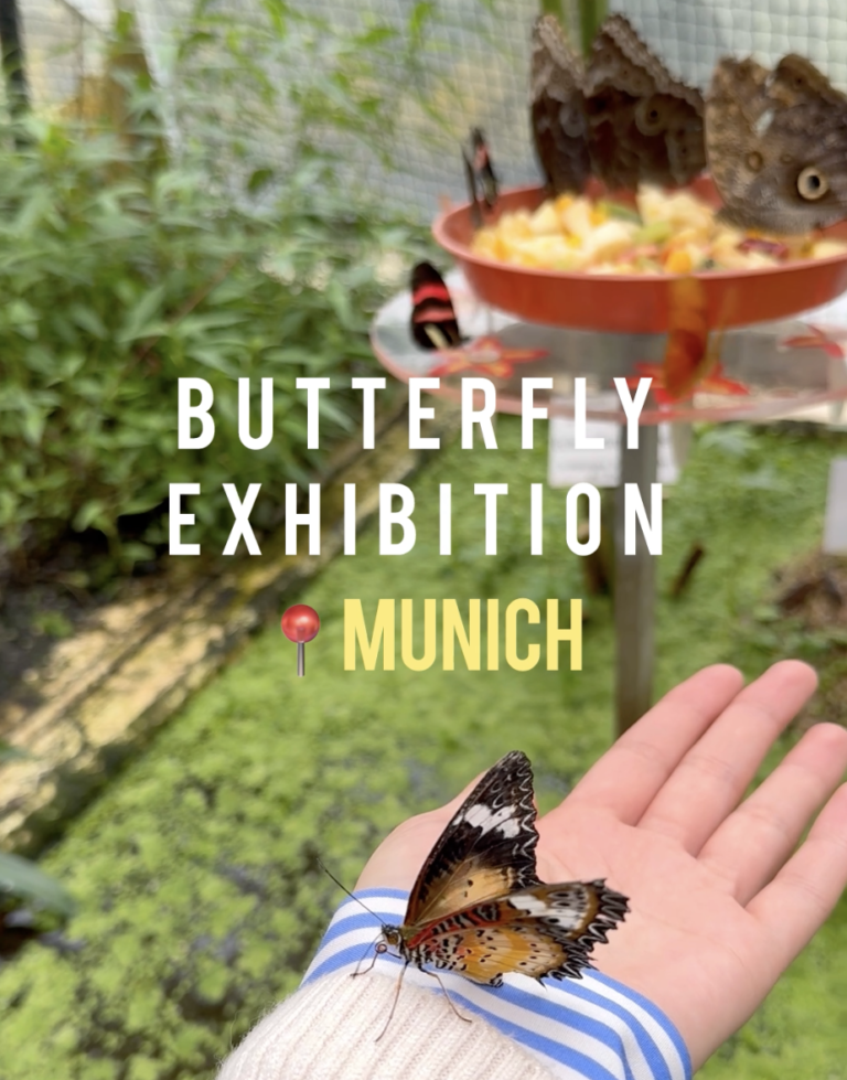 Butterfly Exhibition in Munich | Botanical Gardens