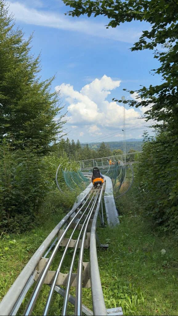 Alpine Coaster: Blomberg Blitz
