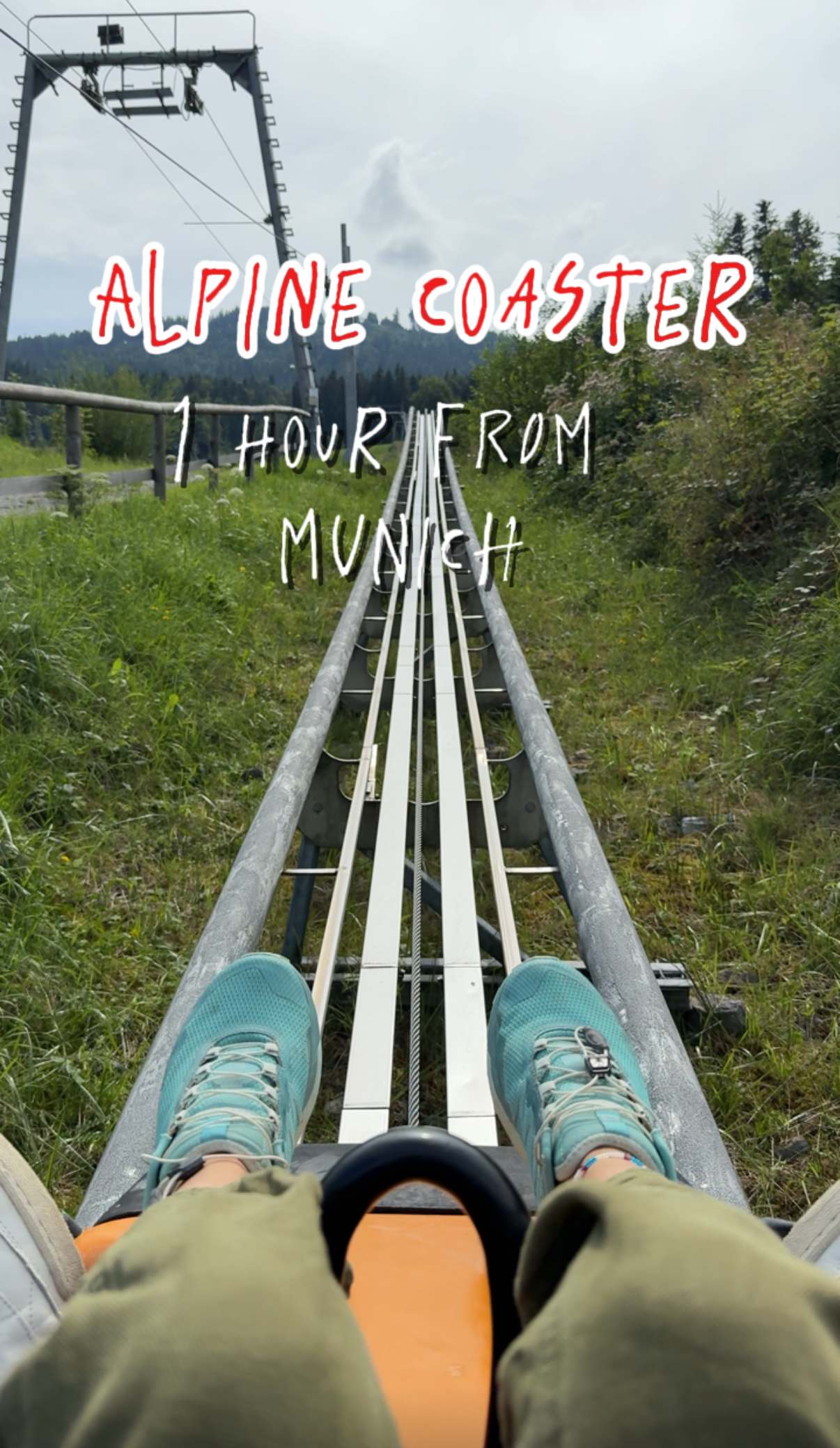 Alpine Coaster: Riding the Blomberg Blitz with Kids