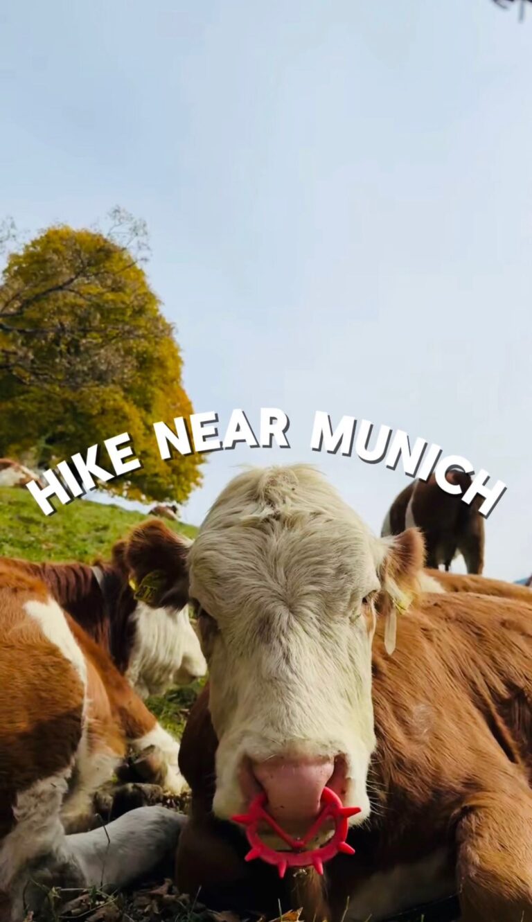 Easiest Hike near Munich: Schlierseeberg Alm